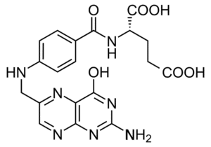 síntesis del ácido fólico