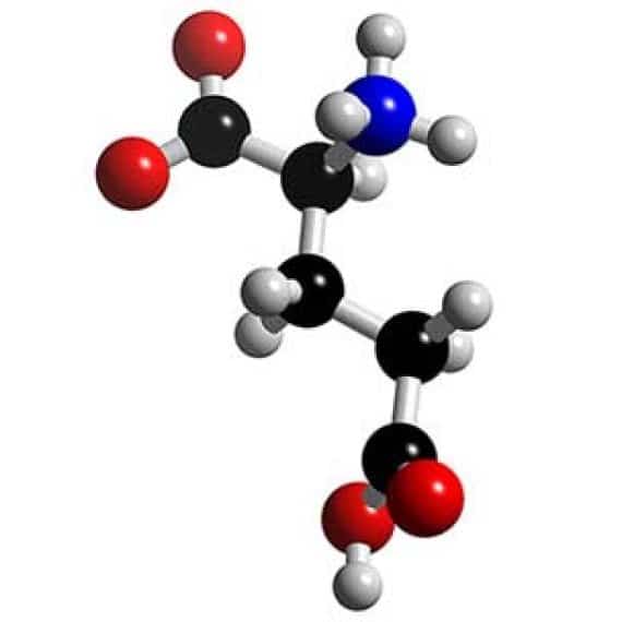ÁCIDO GLUTÁMICO » Funciones Y Beneficios De Este Aminoácido