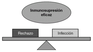 Cómo actúa el ácido micofenólico